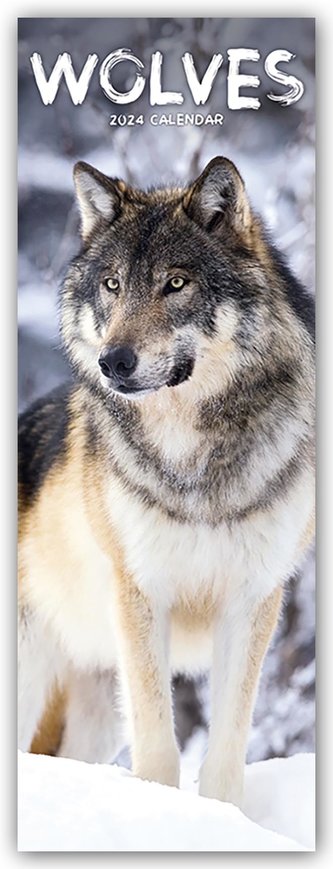 Wolves - Wölfe 2024