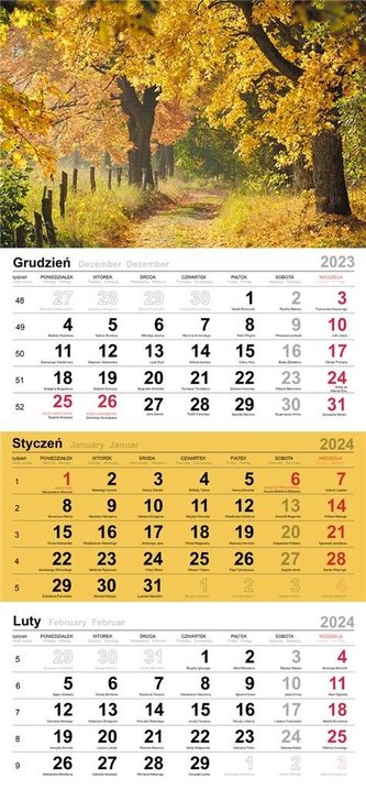 Kalendarz 2024 Trójdzielny jesienna ścieżka