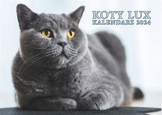 Kalendarz 2024 ścienny Lux Koty