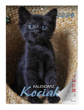 Kalendarz 2024 ścienny Kociaki
