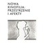 Nowa kinofilia: przestrzenie i afekty