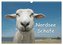 Nordsee Schafe (Wandkalender 2024 DIN A3 quer), CALVENDO Monatskalender