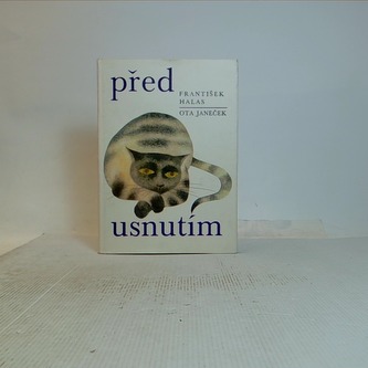 Před usnutím