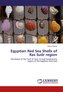 Egyptian Red Sea Shells of Ras Sudr region