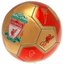 Fotbalový míč FC Liverpool: Podpisy (velikost 5)