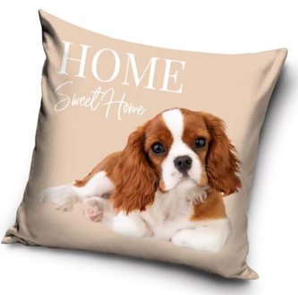 POVLAK NA POLŠTÁŘ PEJSEK