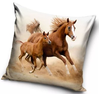 POVLAK NA POLŠTÁŘ KONĚ