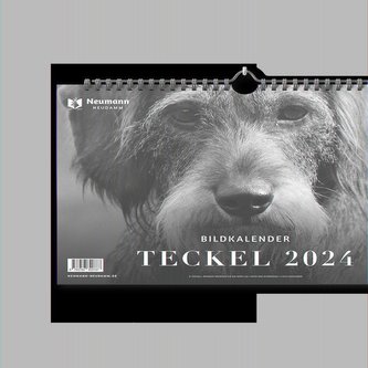 Teckel 2024
