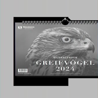 Greifvögel 2024