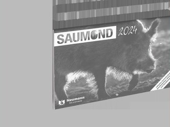 Saumond 2024