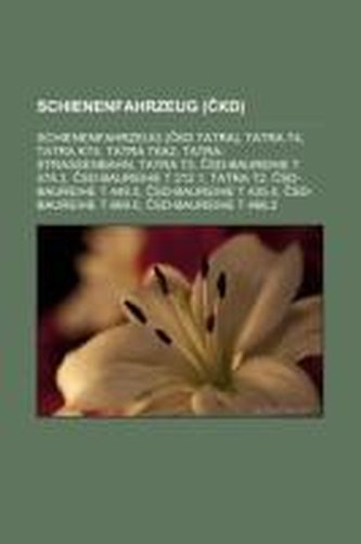 Schienenfahrzeug (CKD)