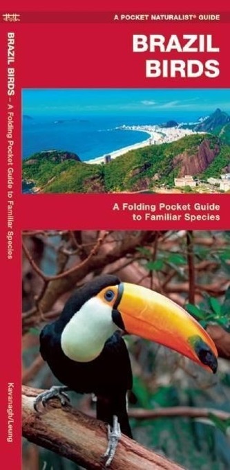 Brazil Birds: A Folding Pocket Guide to Familiar Species