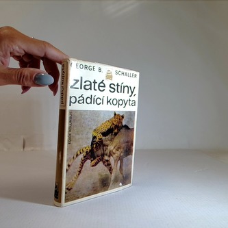 Zlaté stíny, pádící kopyta