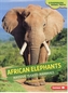 African Elephants