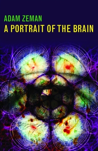 A Portrait of the Brain