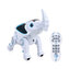 RC roboslon
