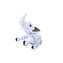 RC roboslon