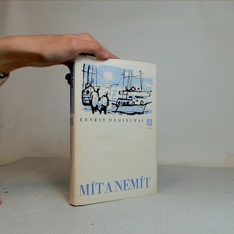 Mít a nemít