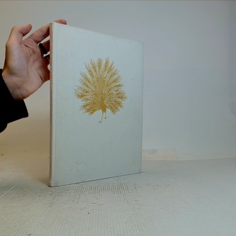 Pohádky z tisíce a jedné noci