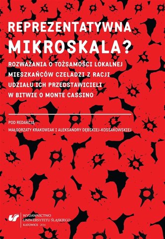Reprezentatywna mikroskala? Reprezentatywna mikroskala?
