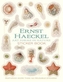 Ernst Haeckel Art Forms in Nature Sticker Book