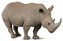 Nosorožec bílý