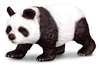 Panda veľká