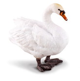 Labuť