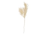 Umělá rostlina Asparagus kapradina Stem bílá Present Time