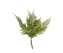 Umělá rostlina Fern Bush Present Time