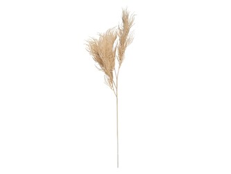 Umělá rostlina Asparagus kapradina Stem hnědá Present Time