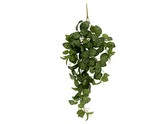 Umělá závěsná rostlina Hanging Philodendron zelená Presnt Time