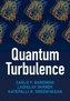 Quantum Turbulence
