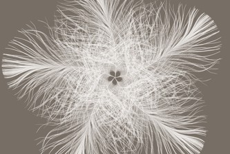 Komar vliesová fototapeta XXL4-006 Federstern, 368 x 248 cm