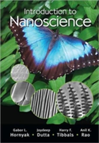 Introduction to Nanoscience