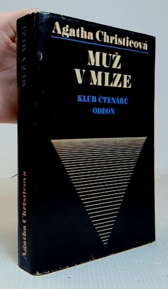 Muž v mlze