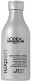 L´Oréal Professionnel Série Expert Šampon Silver 250 ml pro ženy