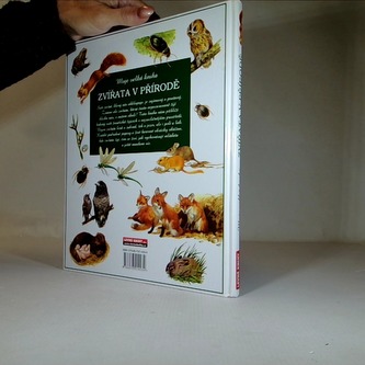 Zvířata v přírodě