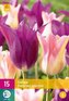 Karta XXL - Tulipán - Dancing Queens (15 cibulí) "D"