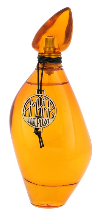 Jesus Del Pozo Ambar Toaletní voda 100 ml pro ženy