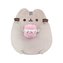 Pusheen kanapka lodowa