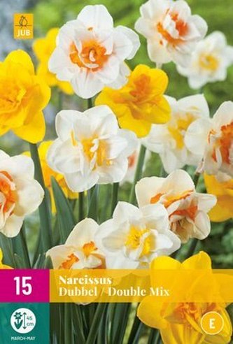 Karta XXL - Narcis - Double Mix ( 15 cibulí ) "E"