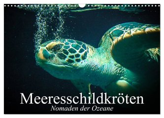 Meeresschildkröten. Nomaden der Ozeane (Wandkalender 2024 DIN A3 quer), CALVENDO Monatskalender