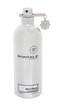 Montale Paris Wild Pears Parfémovaná voda 100 ml unisex