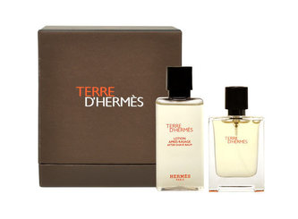 Hermes Terre D´Hermes toaletní voda 12,5 ml + voda po holení 40 ml