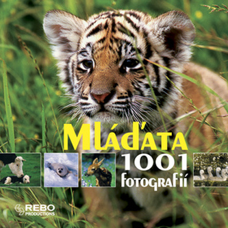 Mláďata Mláďata