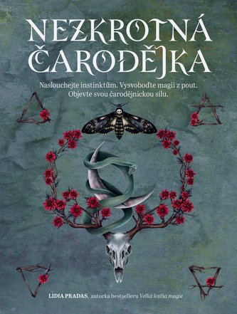 Nezkrotná čarodějnice Nezkrotná čarodějnice