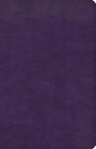 CSB Thinline Bible, Plum Leathertouch