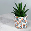 Keramický květináč do interiéru Květy Botanical Protea – malý