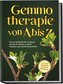 Gemmotherapie von A bis Z: Mit der Heilkraft der Knospen Schritt für Schritt zu mehr Vitalität und starker Gesundheit - inkl. An